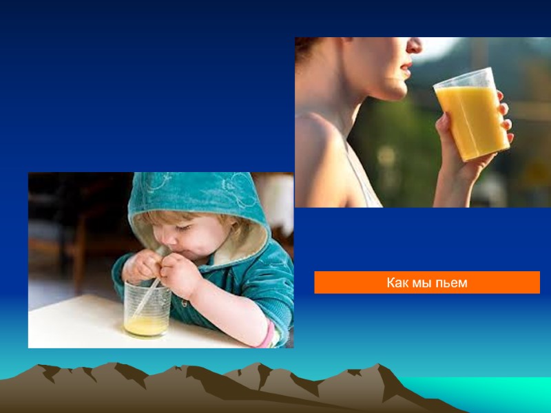 Как мы пьем